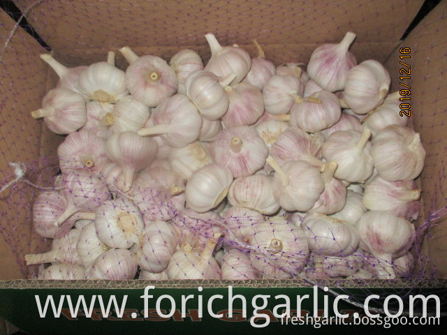 How Should I Store Fresh Garlic